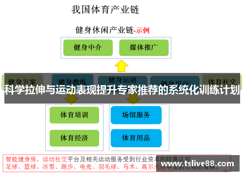 科学拉伸与运动表现提升专家推荐的系统化训练计划