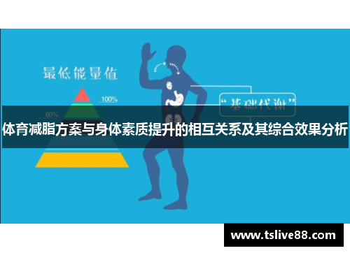 体育减脂方案与身体素质提升的相互关系及其综合效果分析